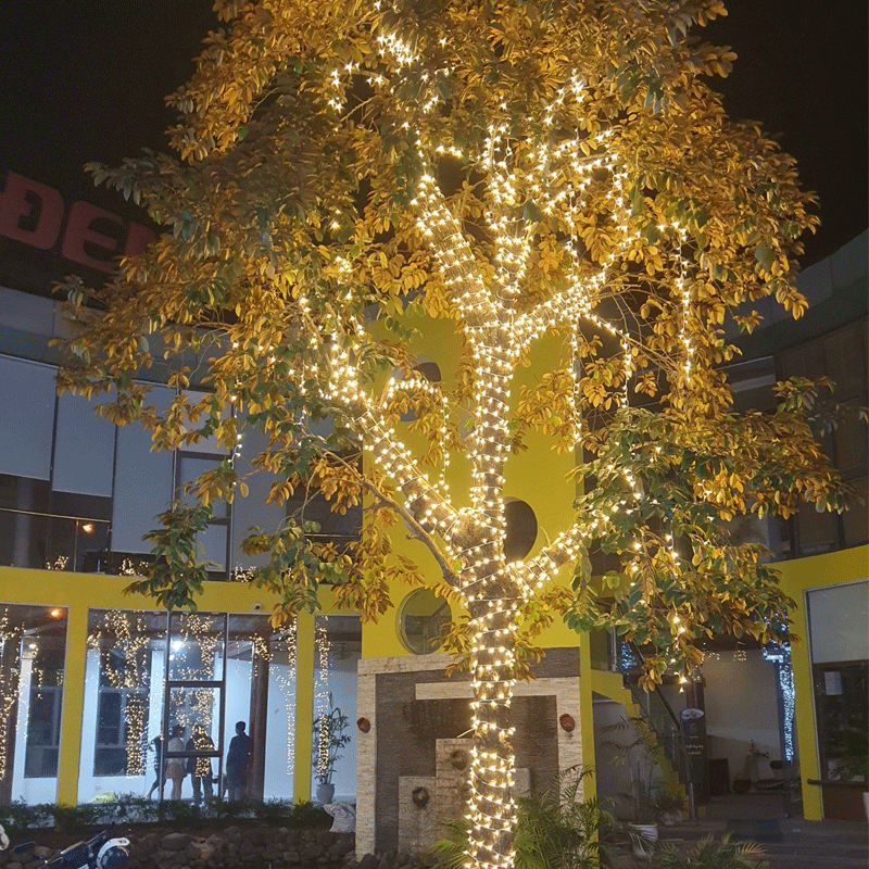 Đèn LED trang trí
